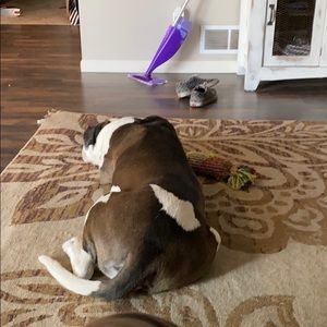 Meet your Posher, Ryan